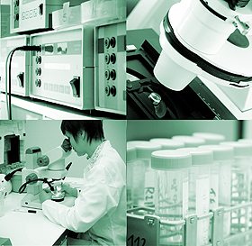 Laboratory Services